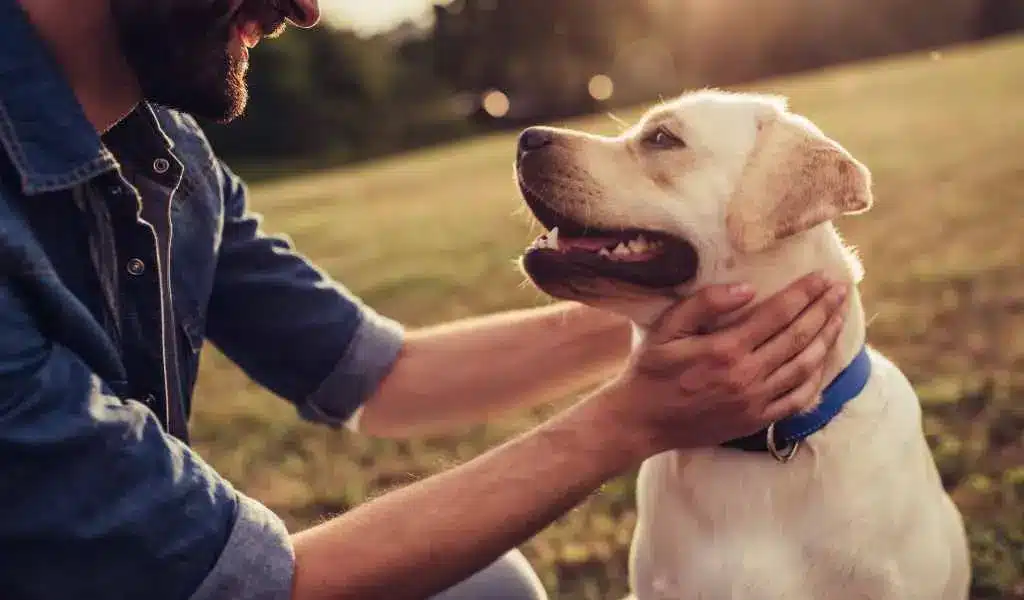 Foto cane con padrone