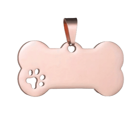 Medaglietta cane osso Zampa Piccola