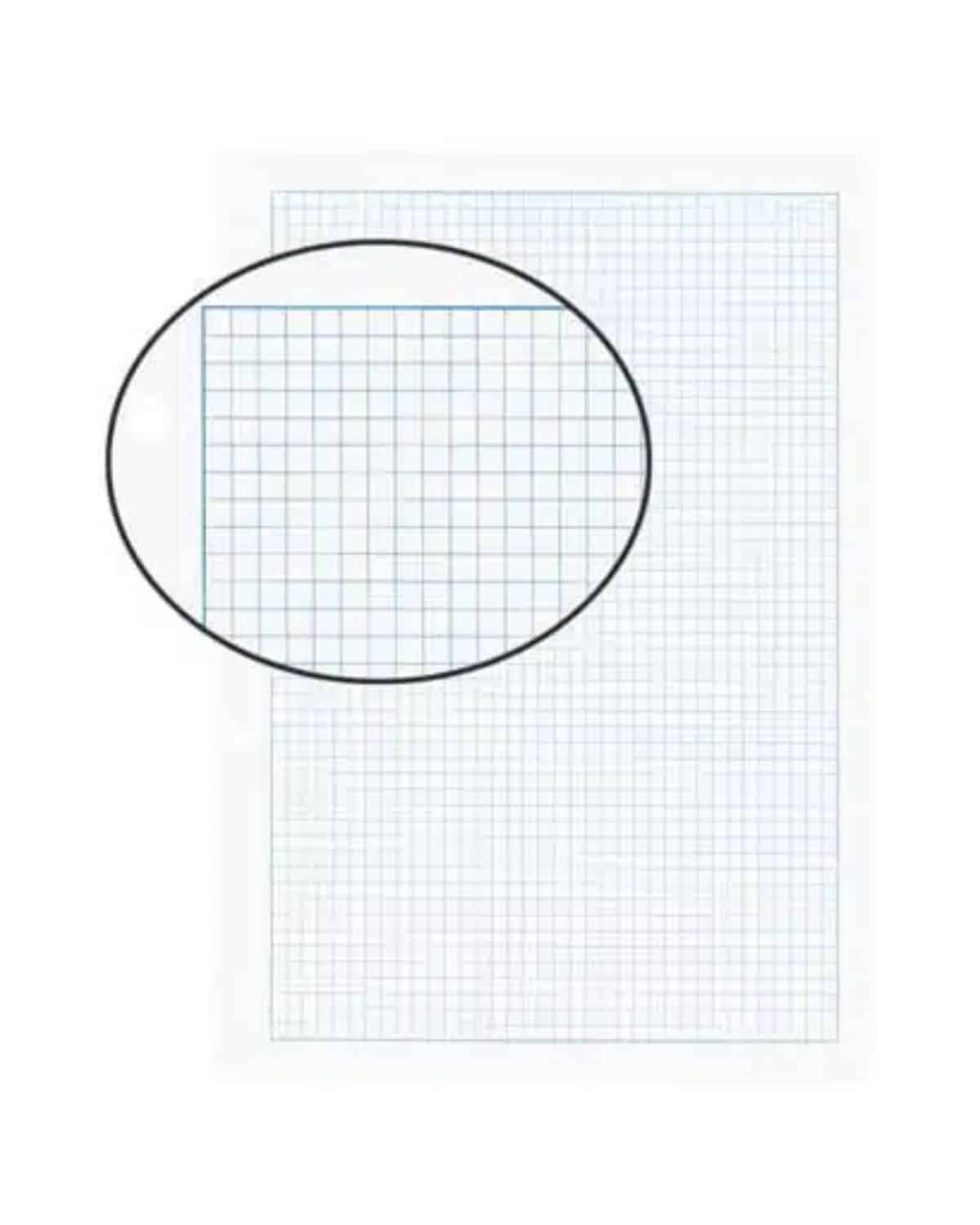 BIELLA Fogli per quaderni A4 45144400U bianco,quad.4mm,4 fo. 100 fg.