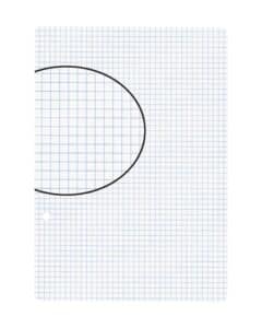 BIELLA Fogli per quaderni A5 45052400U bianco,quad.4mm,2 fo. 100 fg.