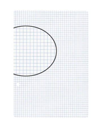 BIELLA Fogli per quaderni A5 45052400U bianco,quad.4mm,2 fo. 100 fg.