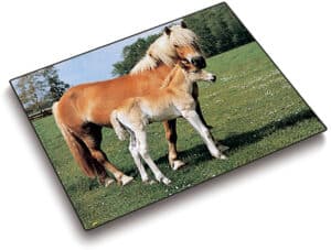 LÄUFER Sottomano 46587 motivo 53x40cm