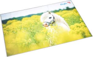 LÄUFER Sottomano 46651 Cavallo sul campo 53x40cm