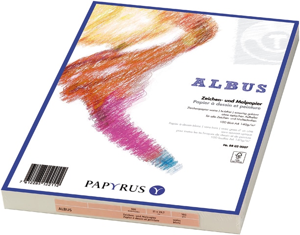 PAPYRUS Carta per disegno A4 88020009 160g, bianco 100 fogli
