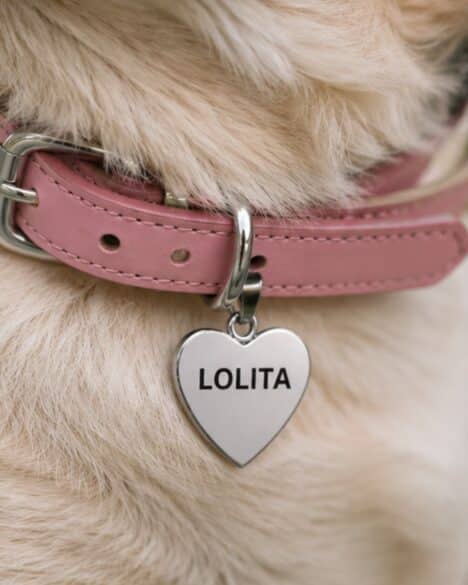 Medaglietta per cane a forma di cuore di colore argento