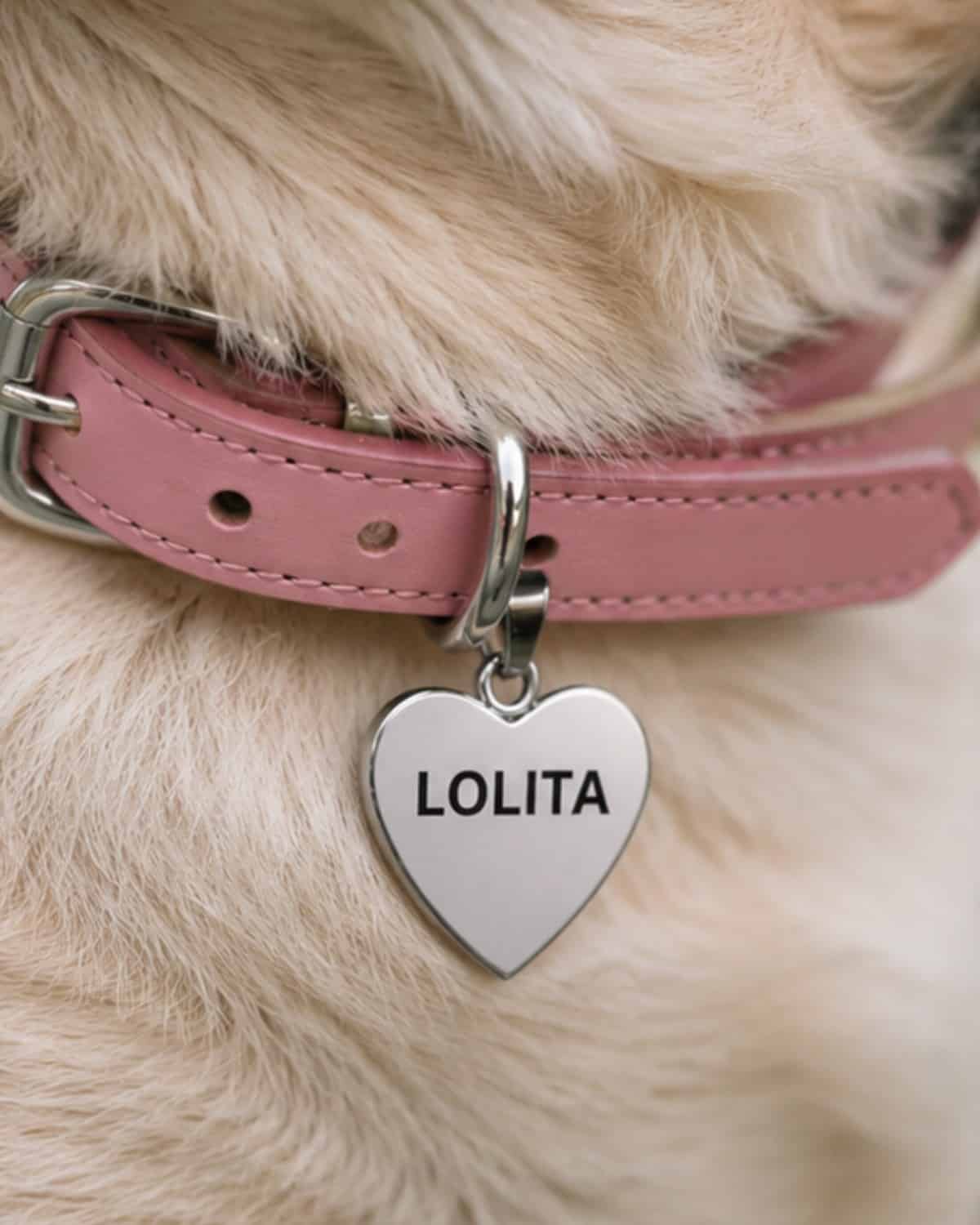 Hundemarke Herz Silber personalisiert
