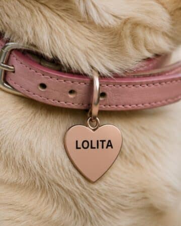 Medaglietta per cane a forma di cuore di colore rosa
