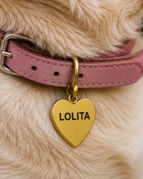Medaglietta per cane a forma di cuore di colore oro