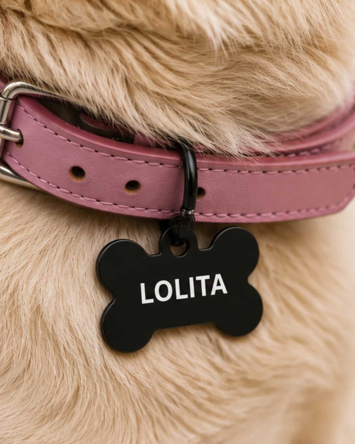 Hundemarke Knochen Schwarz 4 x 2 cm personalisiert