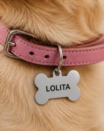 Medaglietta per cane a forma di osso di colore argento