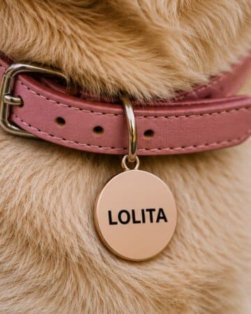 Medaglietta per cane a forma rotonda di colore rosa dorato