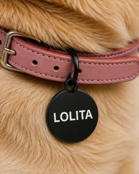 Medaglietta per cane a forma rotonda di colore nero