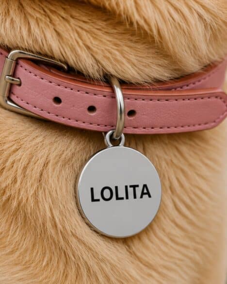 Medaglietta per cane a forma rotonda di colore argento