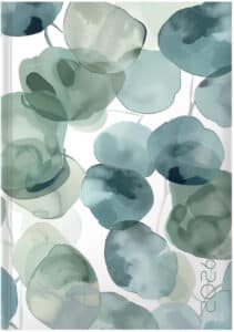 BIELLA Agenda Execut 2026 806513730026U 1G/1P Eucalyptus 14.5x20.5cm