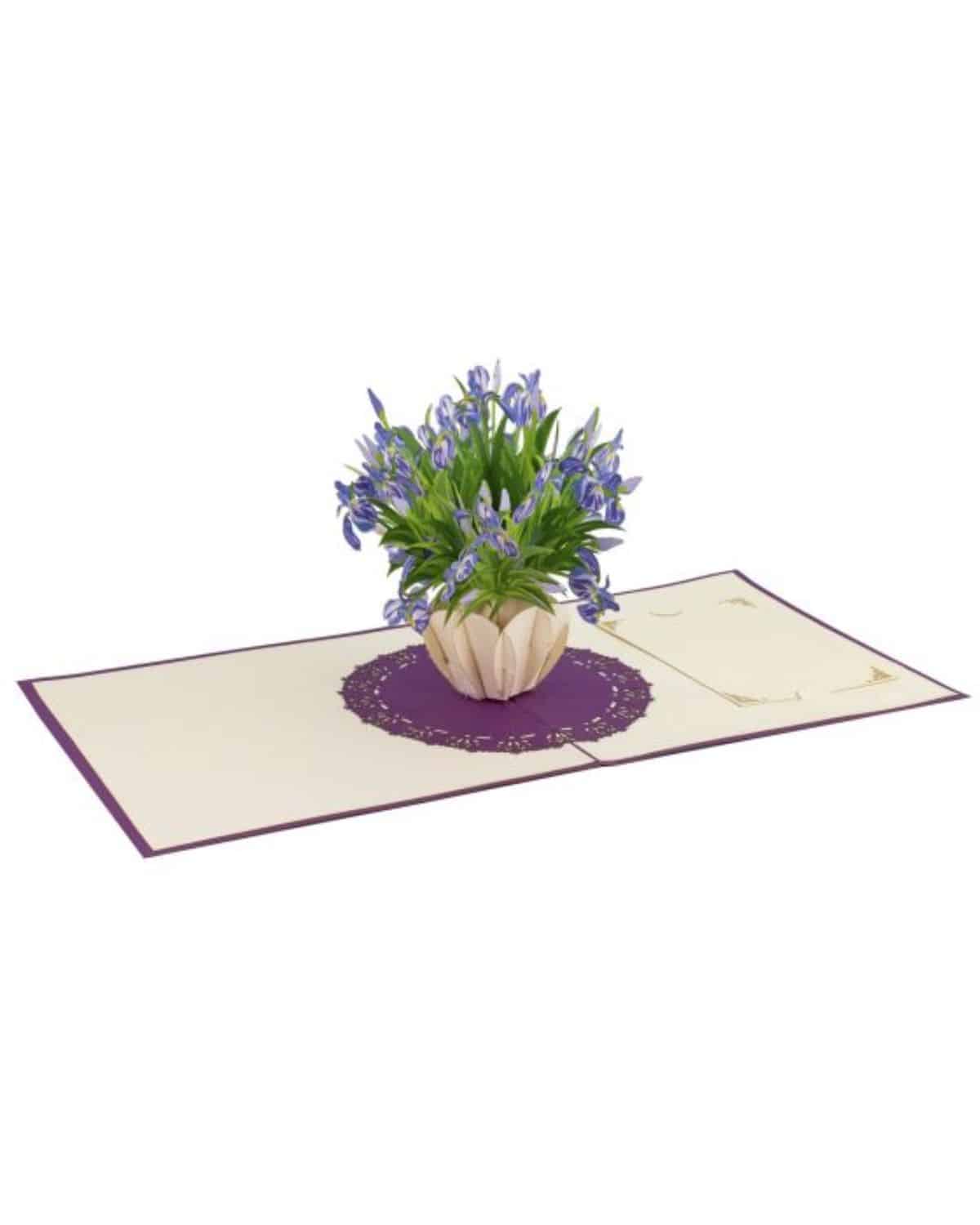 3D Pop up biglietto auguri viole