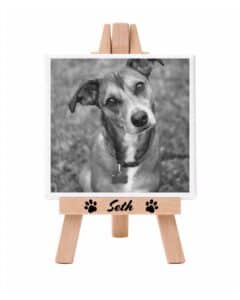 Tela Canvas Quadrata Personalizzata con cavalletto