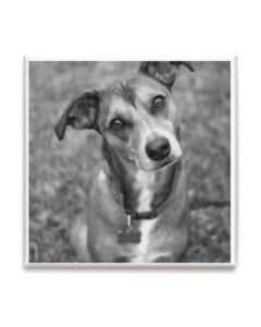 Tela Canvas Quadrata Personalizzata